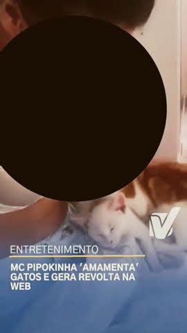 pipoquinha com gato|VÍDEO – MC Pipokinha aparece “amamentando” gato e pode ser。